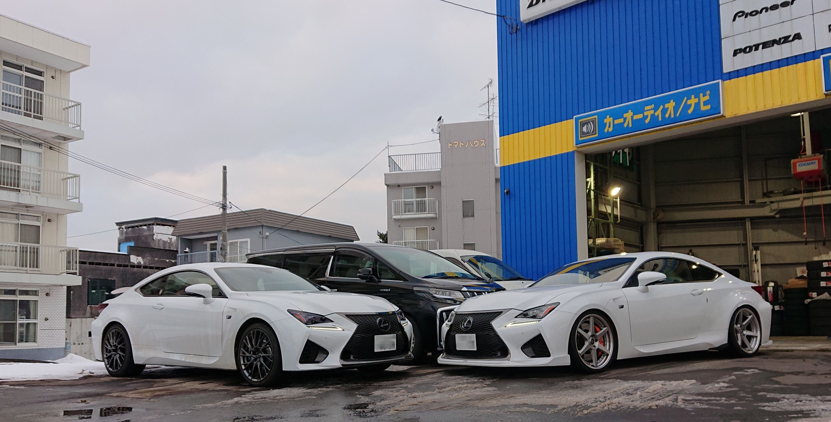 翼を授ける～♪ レクソン エクスクルーシブ カーボン リア