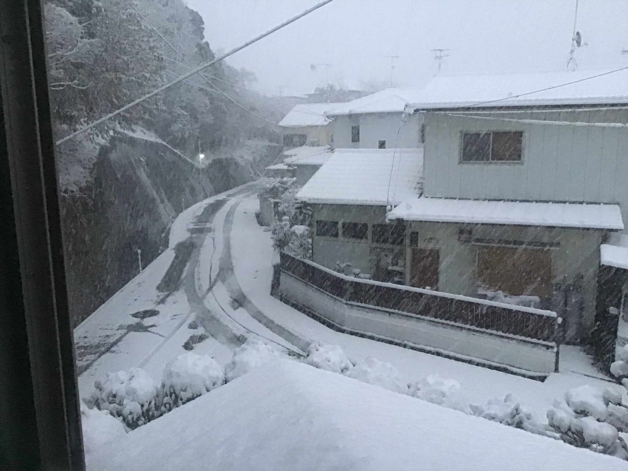 南国高知が“雪国”になっちゃいました！ | 店長アサコのブログ