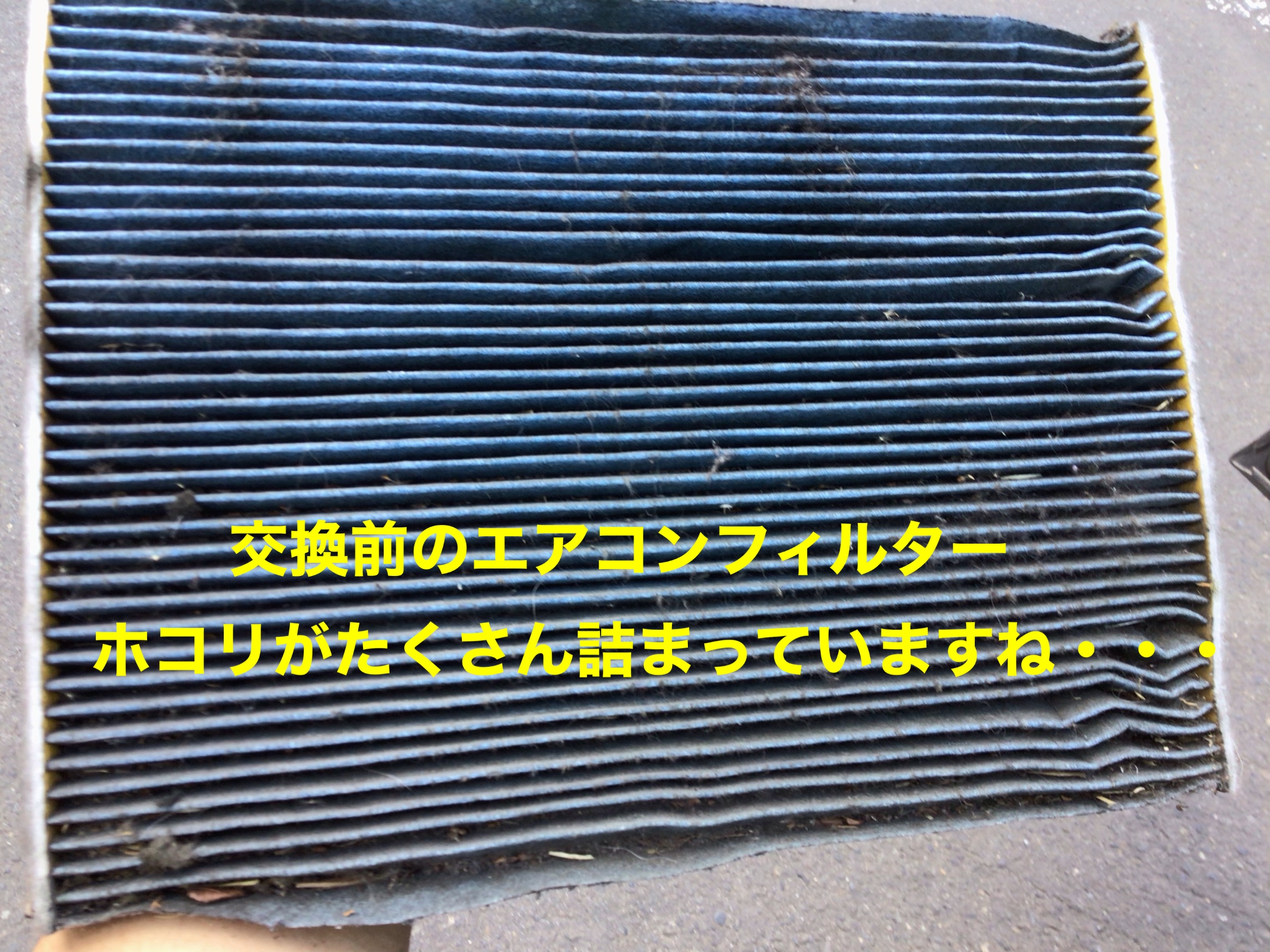 スタッフ撮影