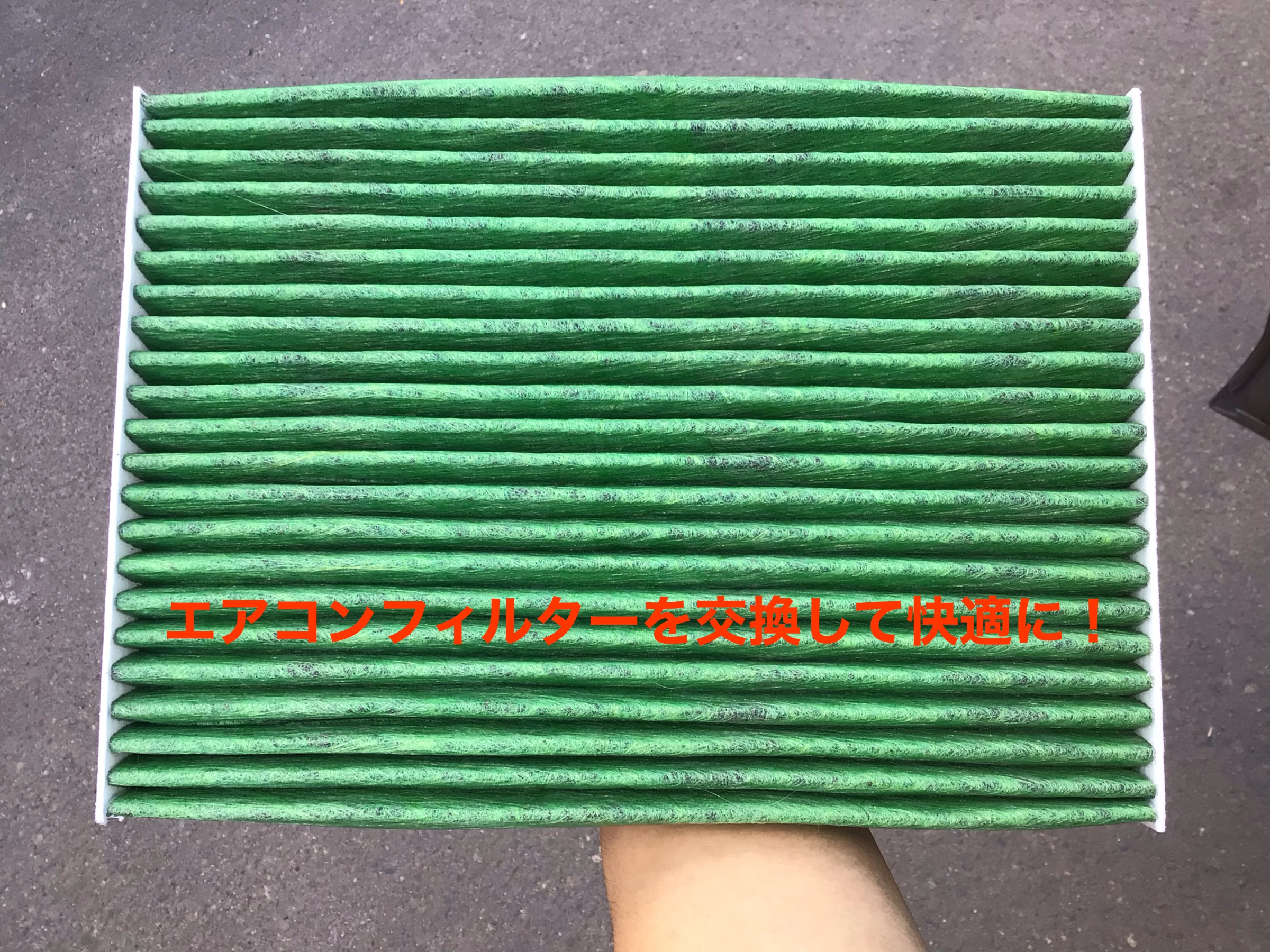 スタッフ撮影