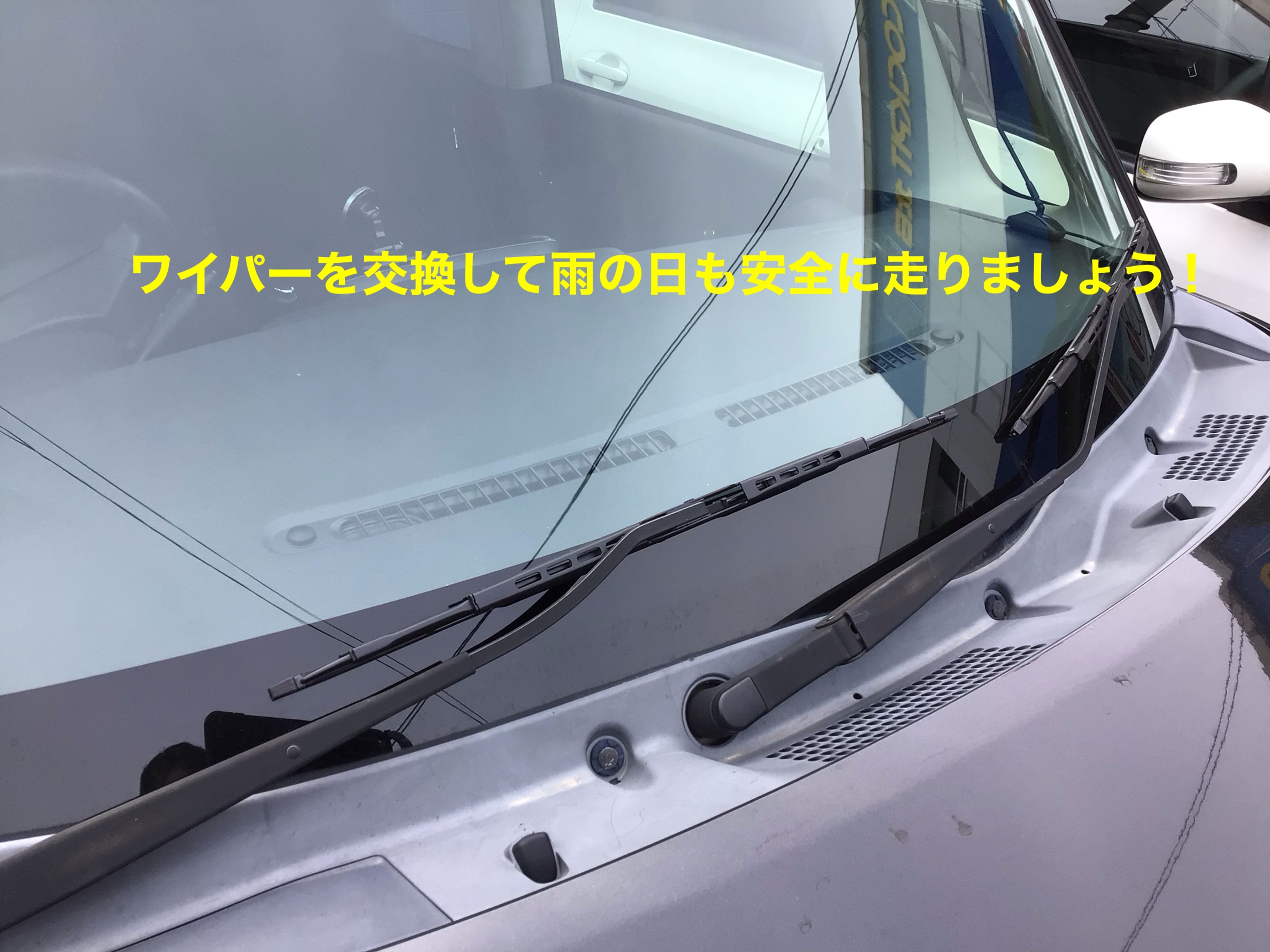 スタッフ撮影
