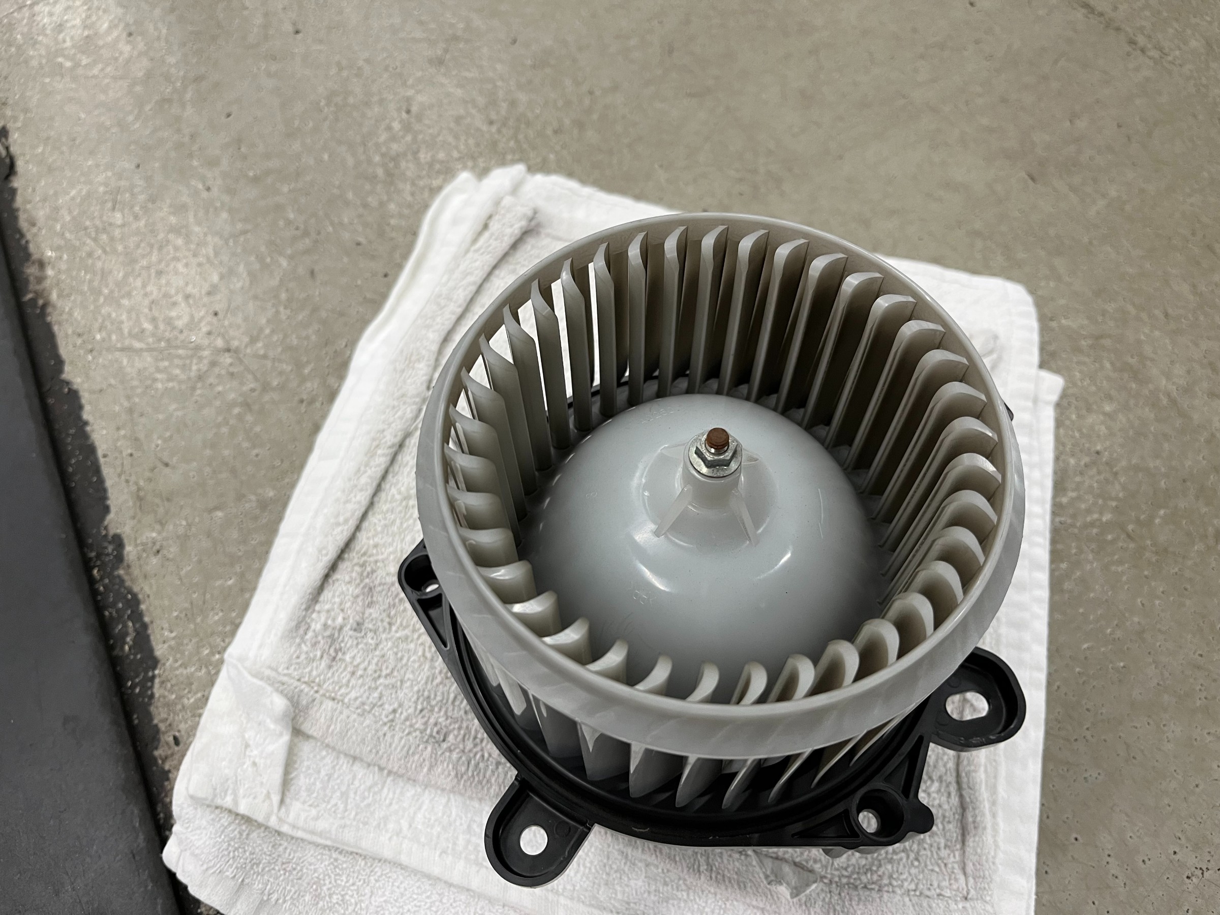 Dr.BAZOOKA！洗浄・消臭】取扱い始めました。 | スタッフ日記