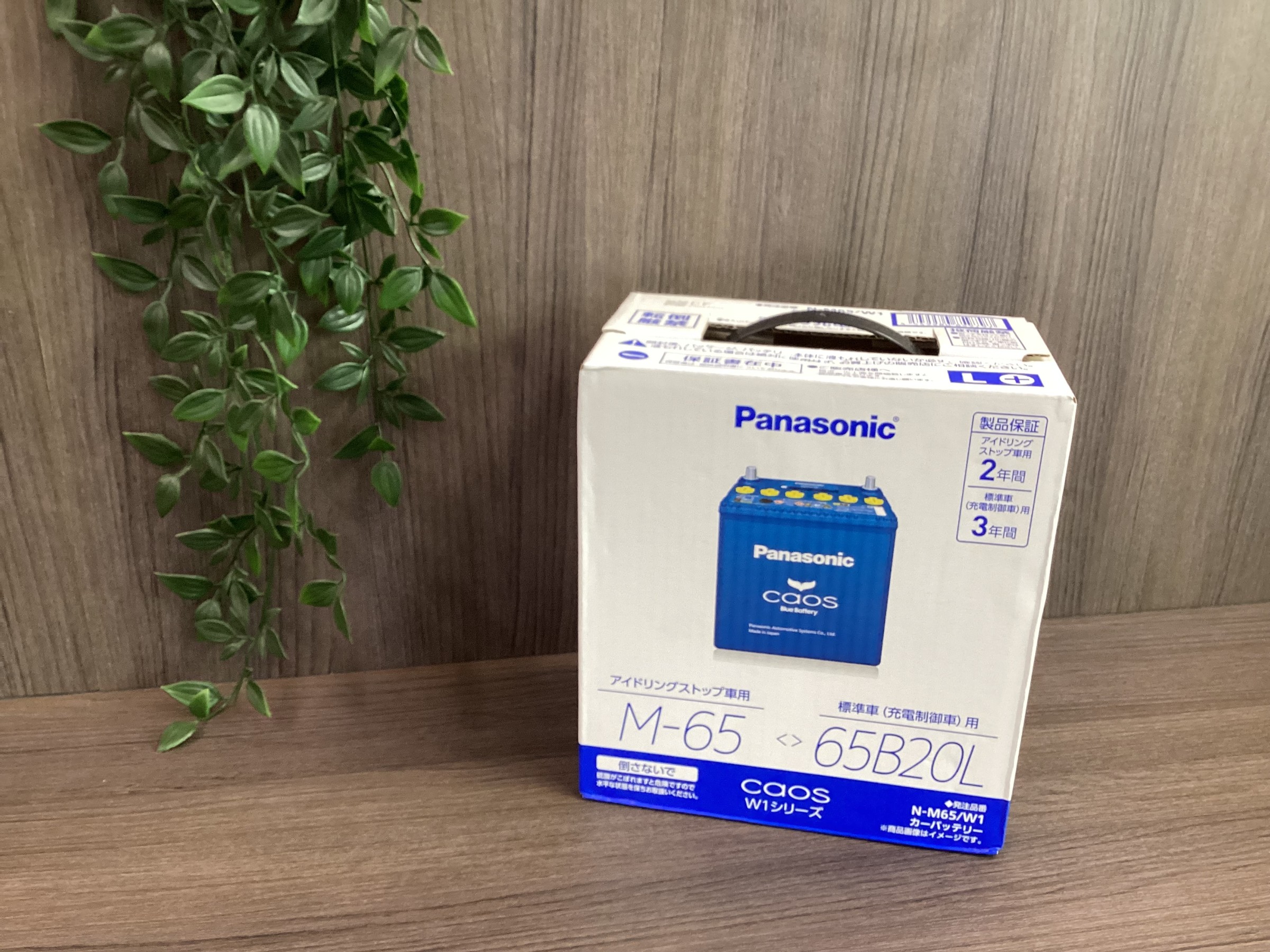 スタッフ撮影画像です