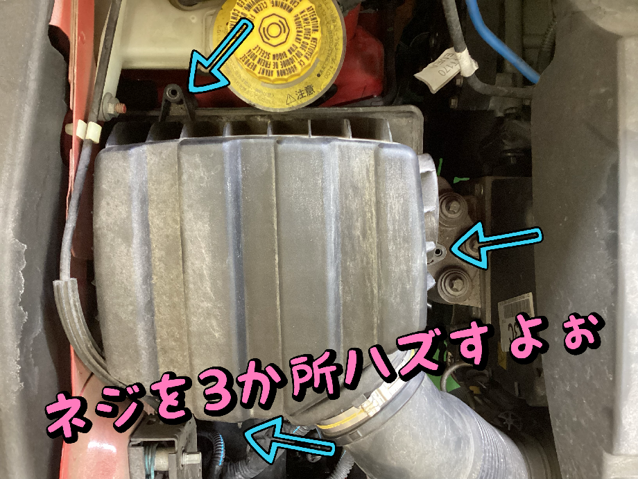 スタッフ撮影加工データです。
