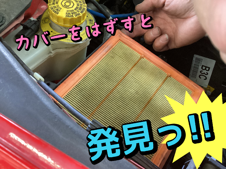 スタッフ撮影加工データです。