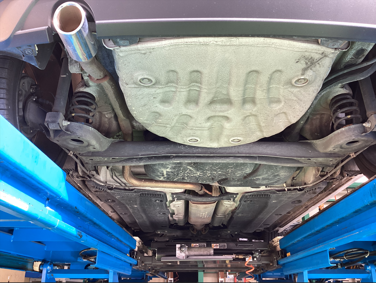 スタッフが撮影・加工した画像です