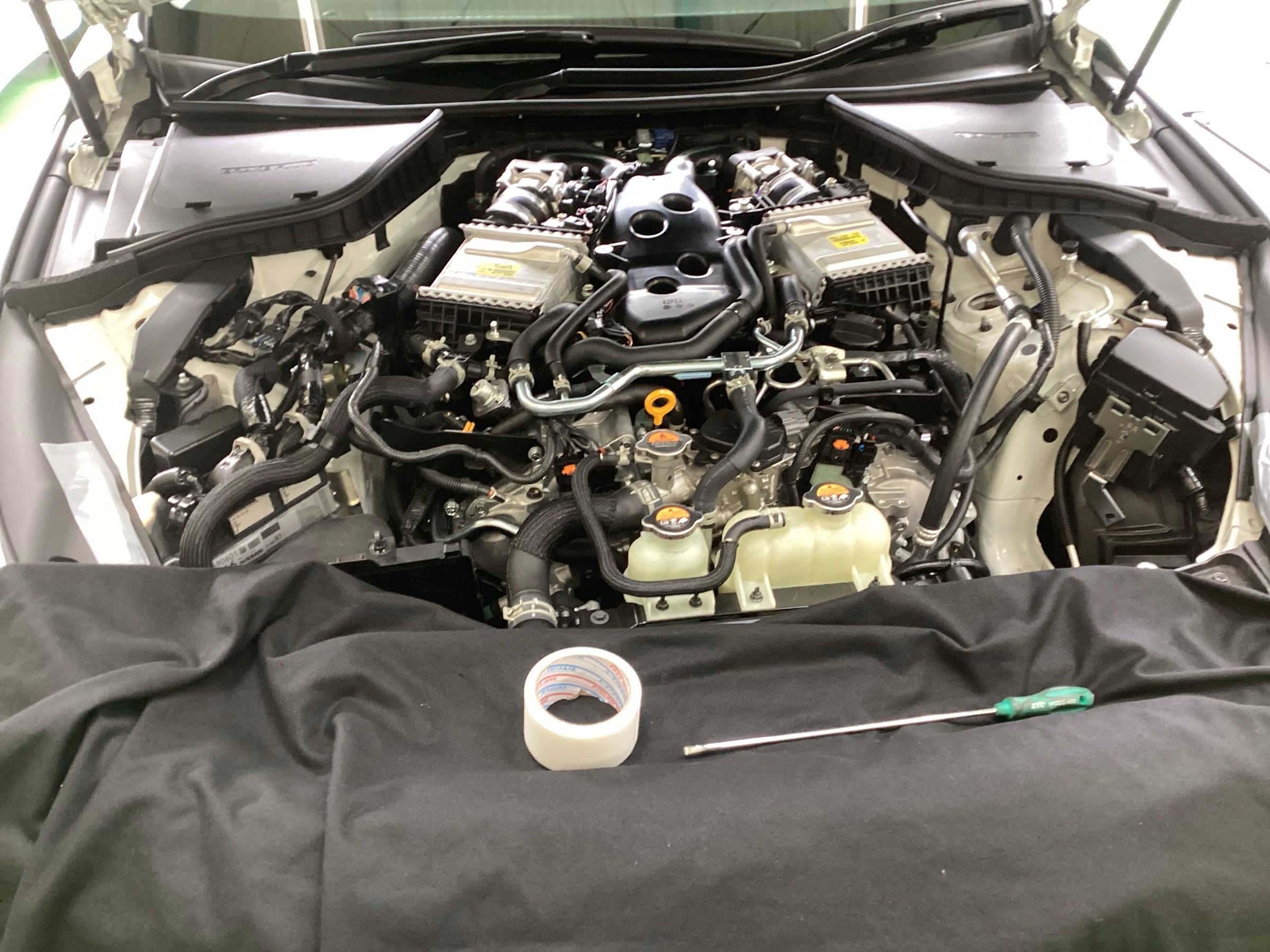 スタッフ撮影画像です。