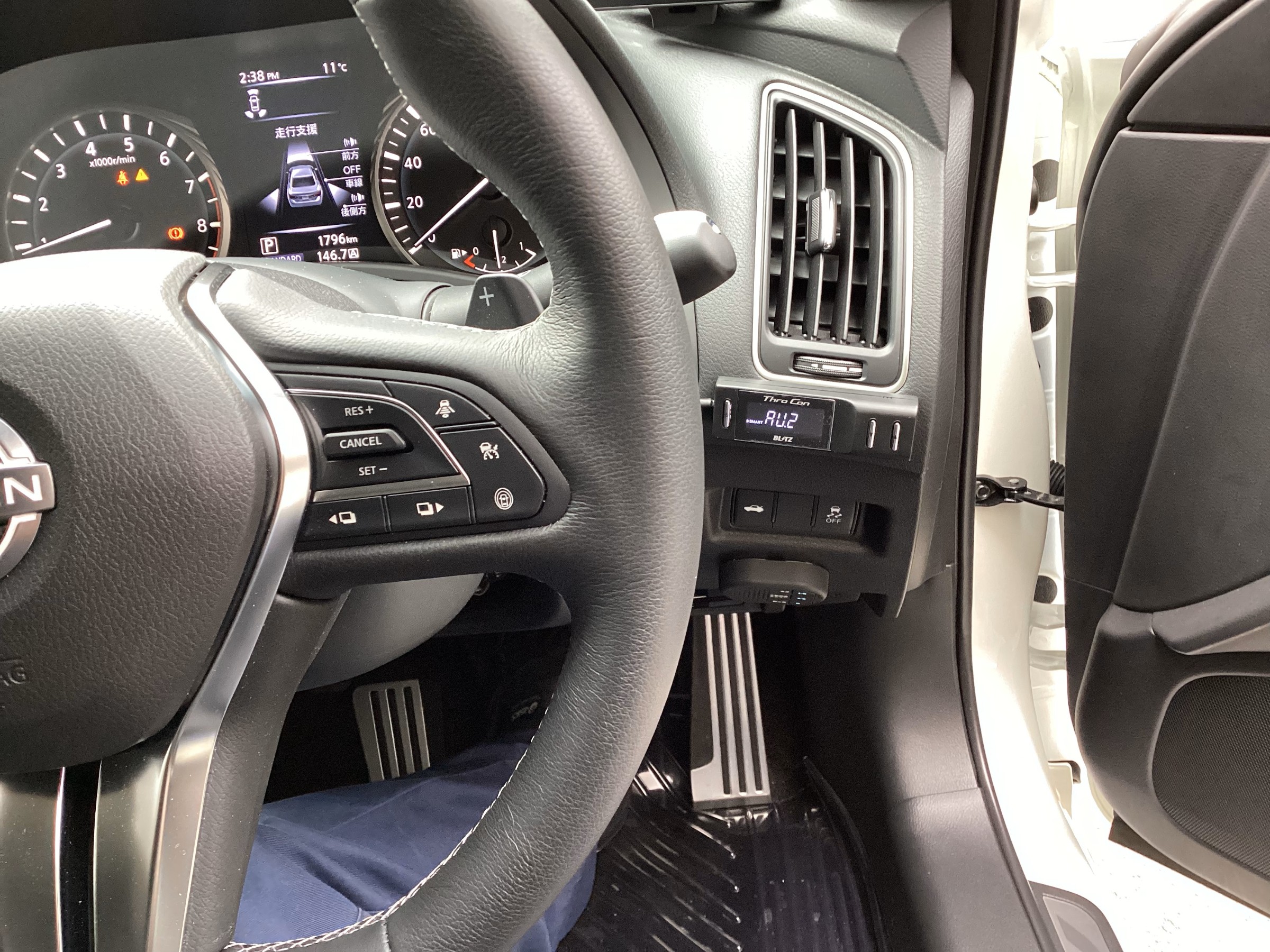 スタッフ撮影画像です。