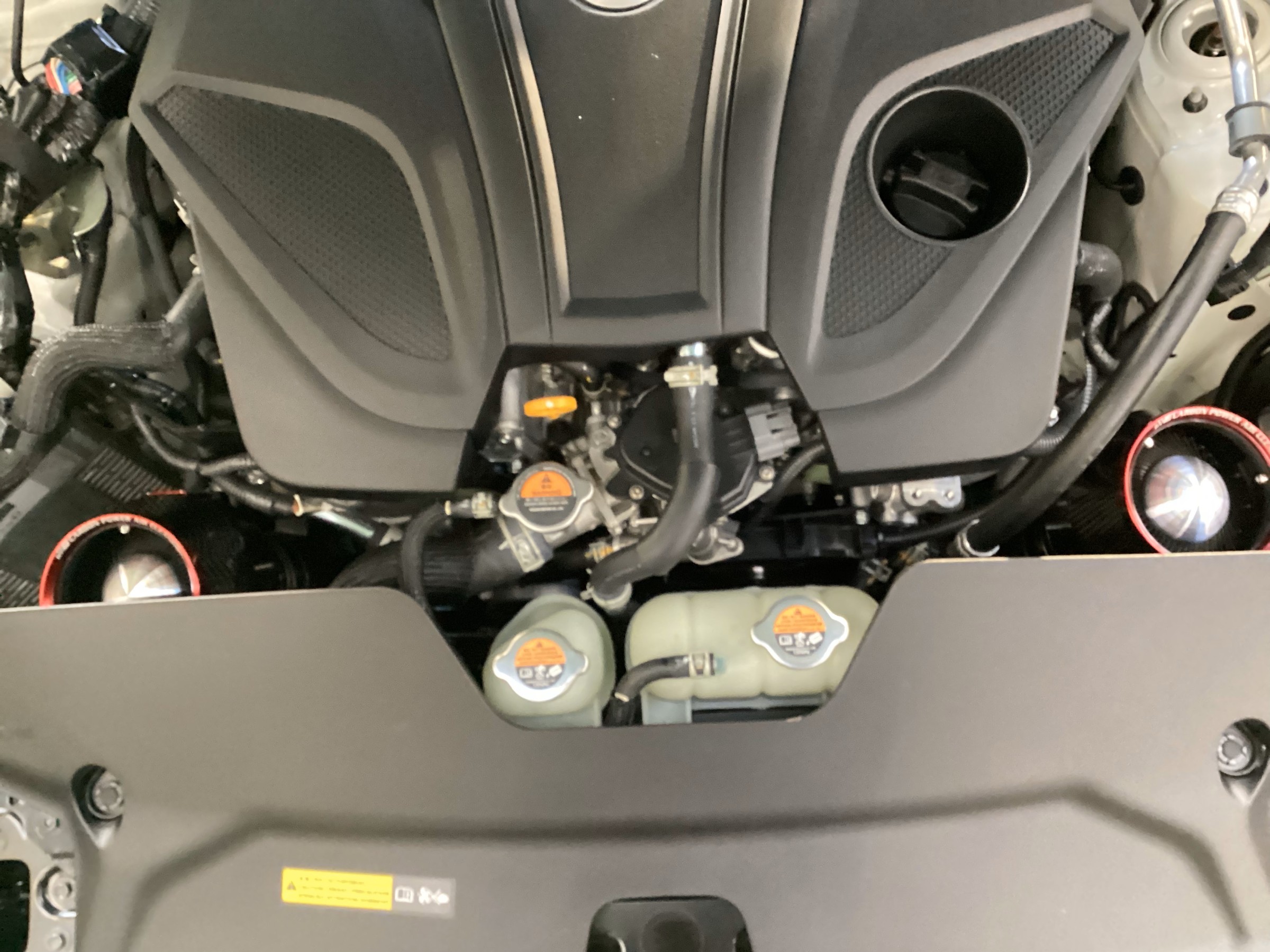 スタッフ撮影画像です。