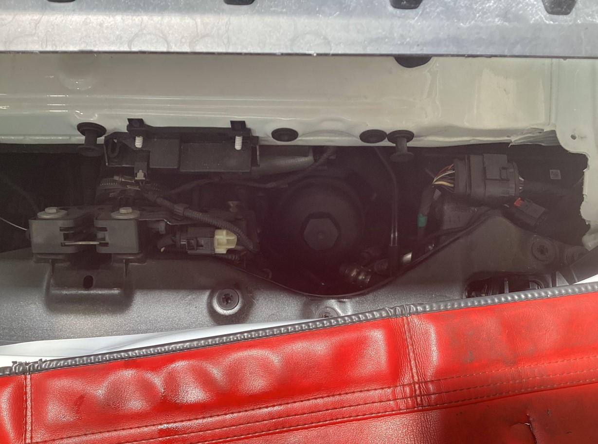 スタッフが撮影・加工した画像です