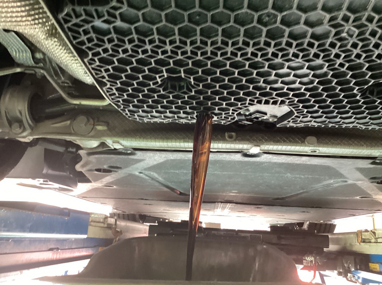 スタッフが撮影・加工した画像です