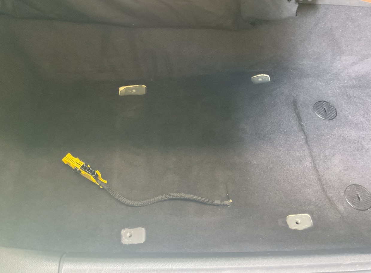 スタッフが撮影・加工した画像です