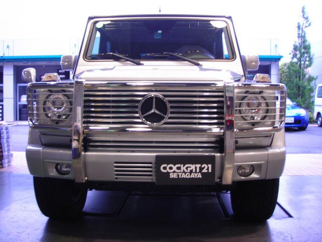 2012年製w463 Gクラス 純正品グリルガード www.ndc.gov.af