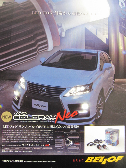 人気のボールド・レイに新型が登場！ | 店長アサコのブログ