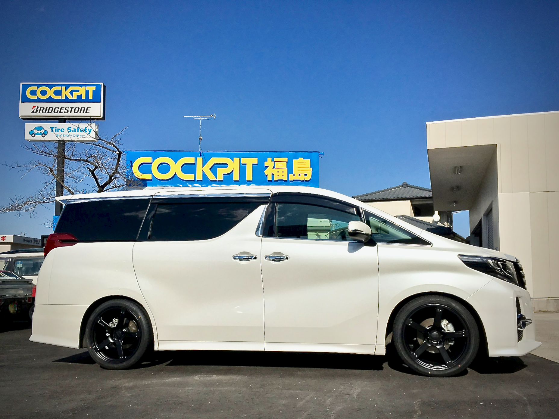 TOYOTA ALPHARD V, MZ catalog - reviews, pics, specs and