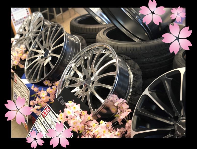 桜画像(支社共有ﾌｧｲﾙ内きずな工房様画像)スタッフ撮影画像です。