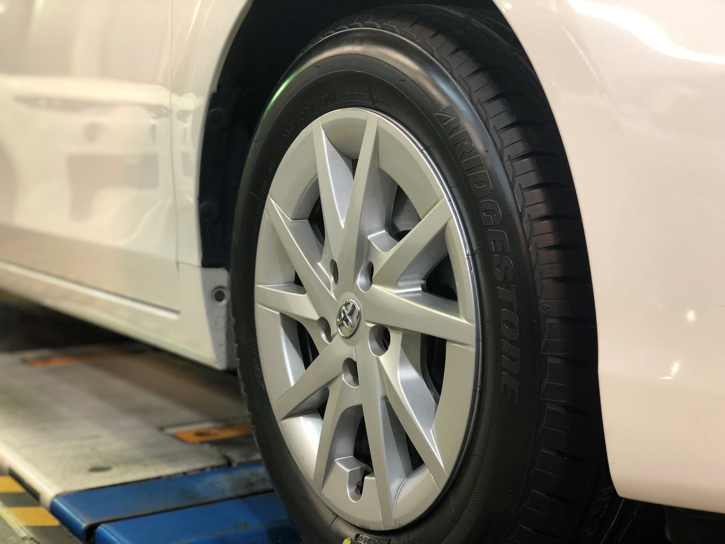 スタッフ撮影画像です。