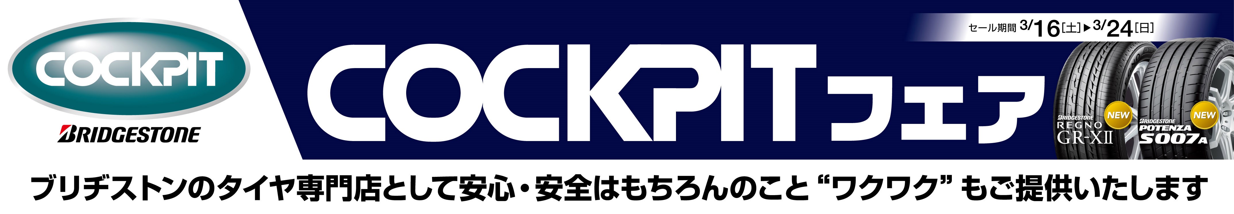チラシデータです。