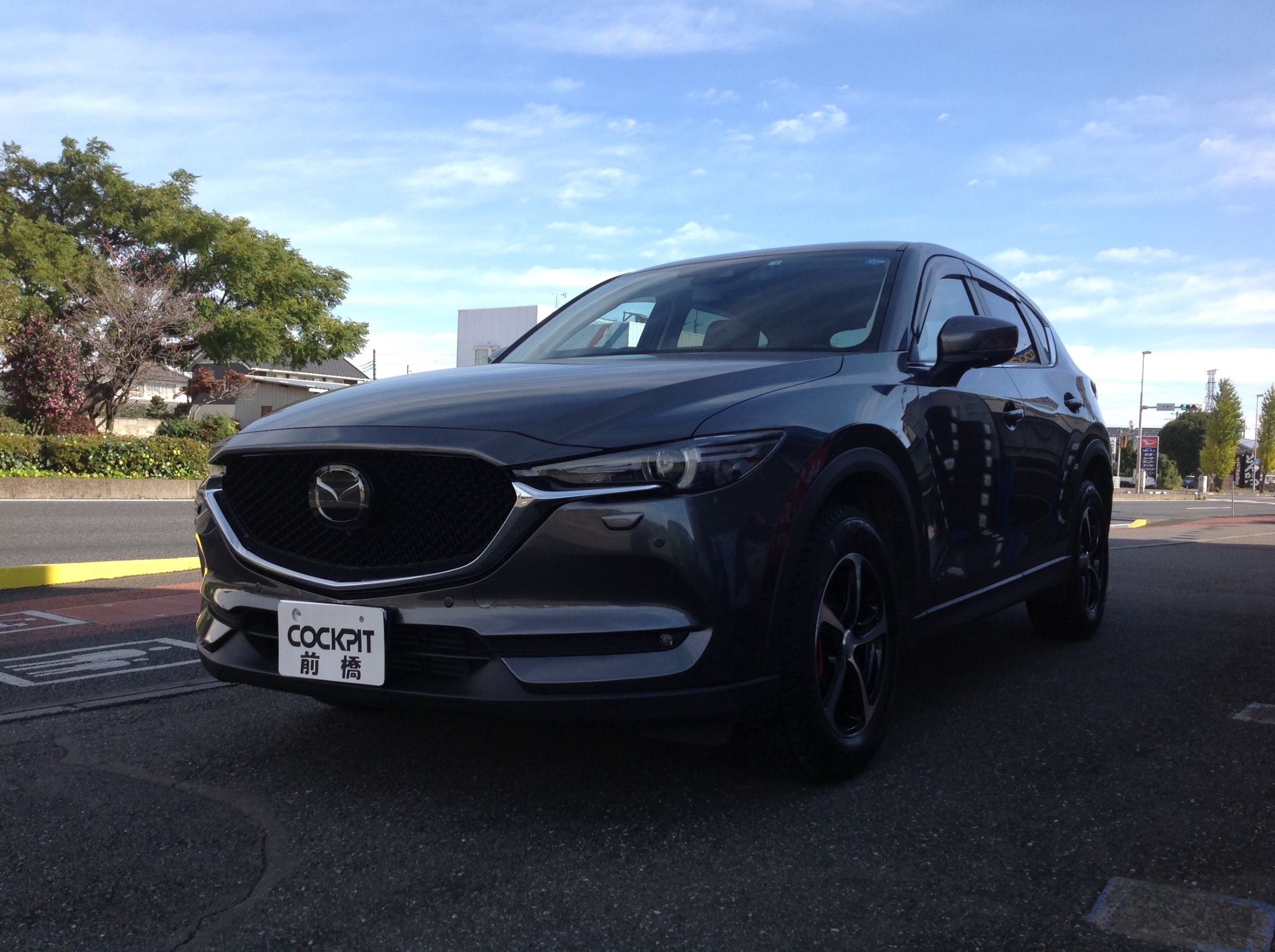 制限 オートマトン 失態 Cx5 スタッドレス Shhj Jp
