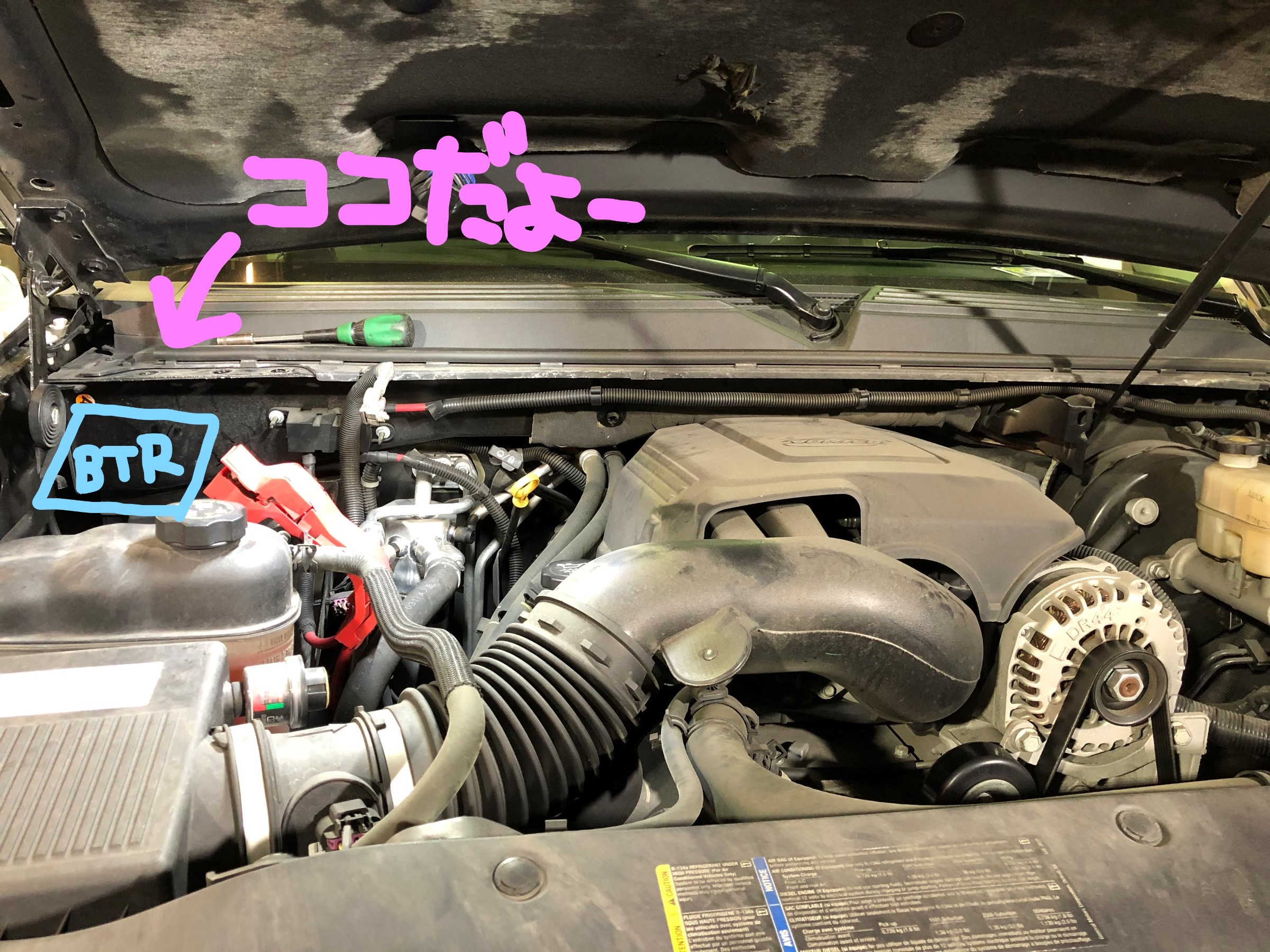 スタッフ撮影画像です。