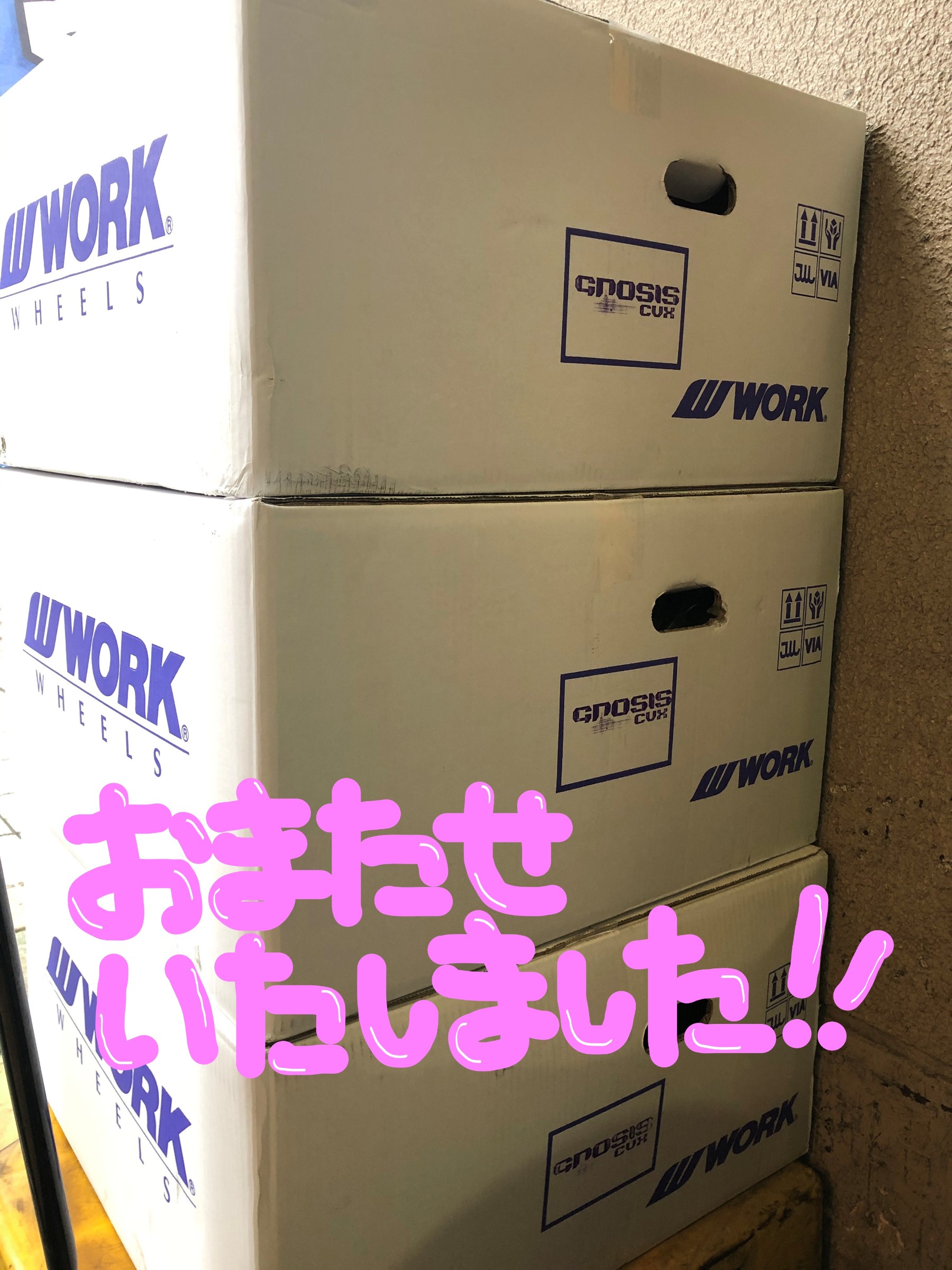 スタッフ撮影画像です。