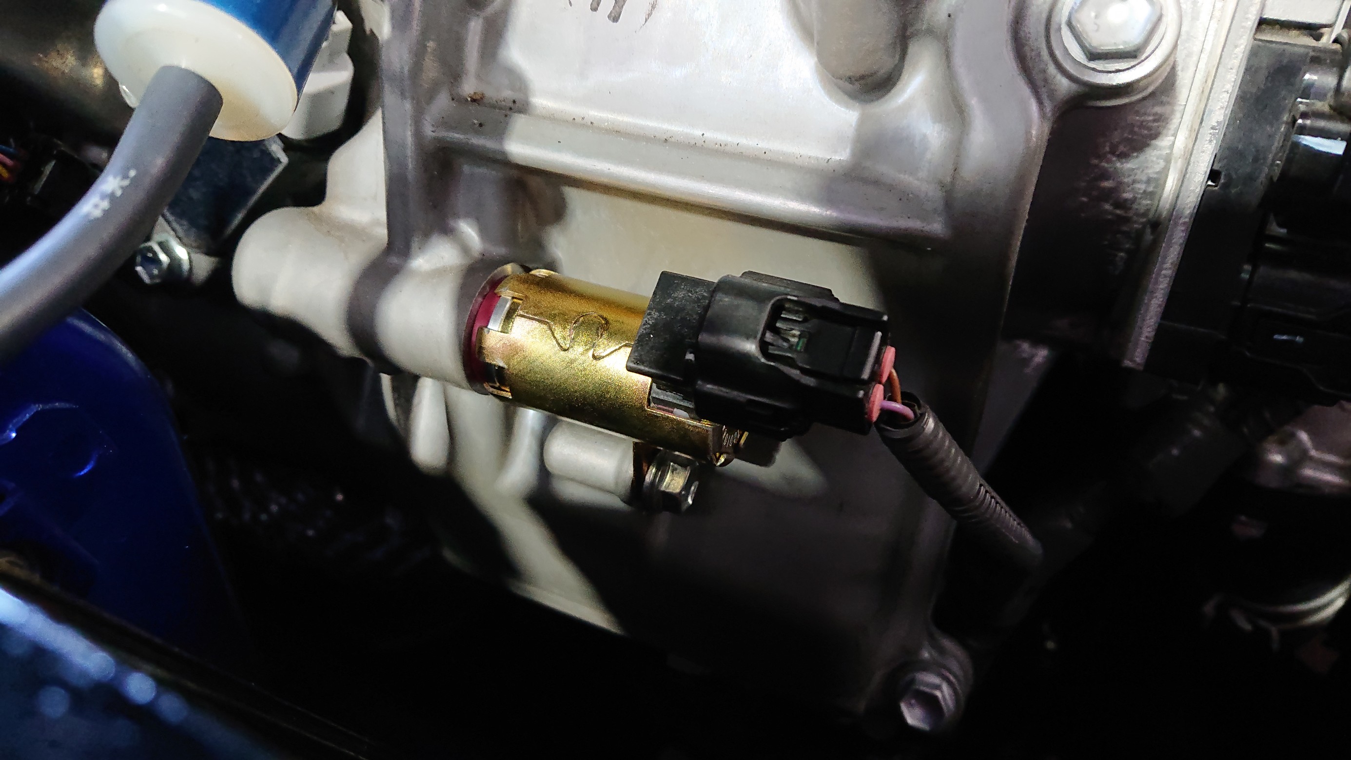 2本 イッとく ?? LEXON exclusive × Quantum Solenoid